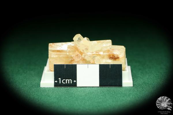 Aragonite XX (20454) a thumbnail from Morocco | Minerals | Thumbnails