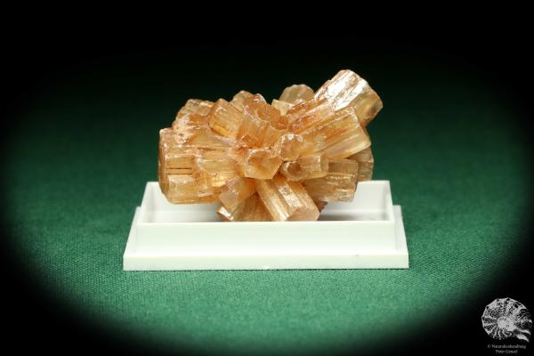 Aragonite XX (20457) a thumbnail from Morocco | Minerals | Thumbnails