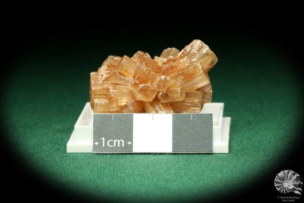 Aragonite XX (20457) a thumbnail from Morocco | Minerals | Thumbnails