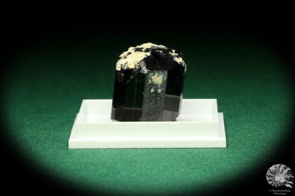 Black Tourmaline XX (20463) a thumbnail from Namibia | Minerals | Thumbnails