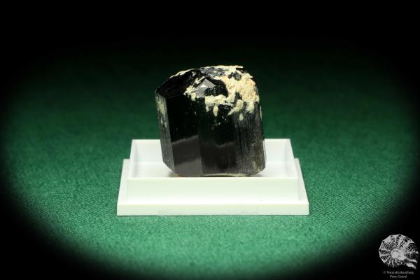 Black Tourmaline XX - Namibia - (20463)