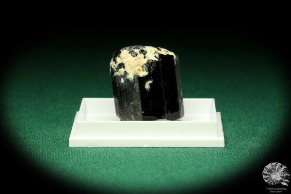 Black Tourmaline XX (20463) a thumbnail from Namibia | Minerals | Thumbnails