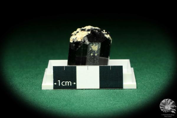 Black Tourmaline XX (20463) a thumbnail from Namibia | Minerals | Thumbnails