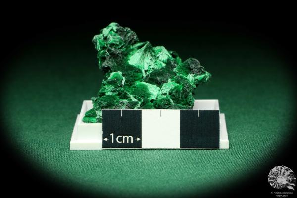 Malachite XX (20464) a thumbnail from DR Congo | Minerals | Thumbnails