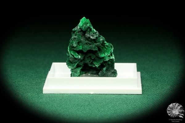 Malachite XX (20476) a thumbnail from DR Congo | Minerals | Thumbnails