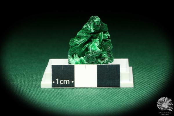 Malachite XX (20476) a thumbnail from DR Congo | Minerals | Thumbnails