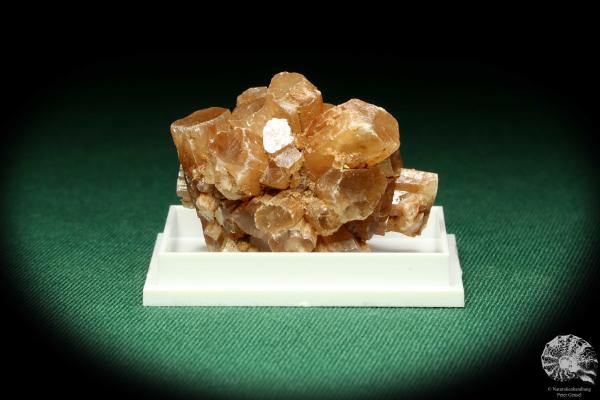 Aragonite XX (20477) a thumbnail from Morocco | Minerals | Thumbnails