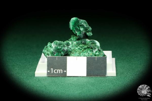 Malachite XX (20478) a thumbnail from DR Congo | Minerals | Thumbnails