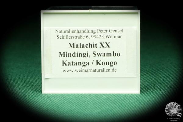 Malachit XX (20478) eine Kleinstufe aus DR Kongo | Mineralien | Kleinstufen