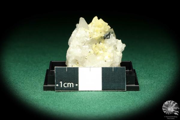 Bergkristall & Ankerit & Chalkopyrit (20485) eine Kleinstufe aus Deutschland | Mineralien | Kleinstufen