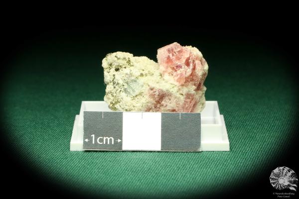 Rhodochrosite XX & Pyrite XX (20494) a thumbnail from Peru | Minerals | Thumbnails