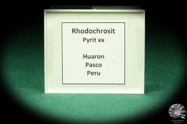 Rhodochrosit XX & Pyrit XX (20494) eine Kleinstufe aus Peru | Mineralien | Kleinstufen