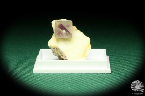 Fluorite XX (20501) a thumbnail from South Africa | Minerals | Thumbnails