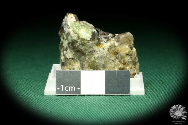 Hyalit auf Rauchquarz (20511) eine Kleinstufe aus Namibia | Mineralien | Kleinstufen