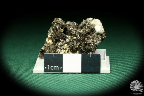 Creedite XX (20513) a thumbnail from Mexico | Minerals | Thumbnails