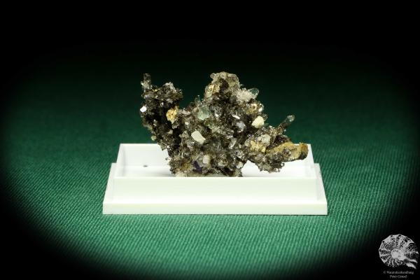 Creedit XX (20517) eine Kleinstufe aus Mexiko | Mineralien | Kleinstufen