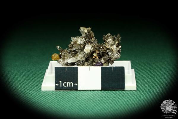 Creedit XX (20517) eine Kleinstufe aus Mexiko | Mineralien | Kleinstufen