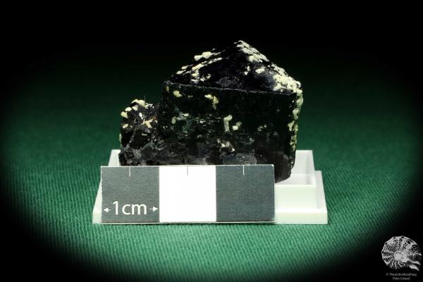 Black Tourmaline XX (20529) a thumbnail from Namibia | Minerals | Thumbnails