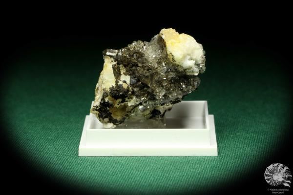 Creedite XX (20534) a thumbnail from Mexico | Minerals | Thumbnails