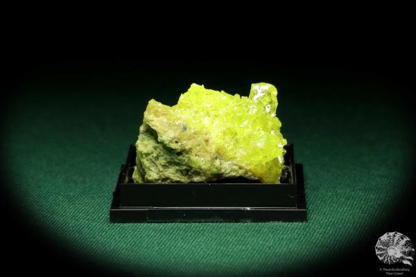 Schwefel XX (20535) eine Kleinstufe aus Bolivien | Mineralien | Kleinstufen