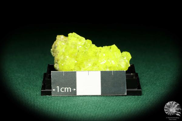 Schwefel XX (20535) eine Kleinstufe aus Bolivien | Mineralien | Kleinstufen