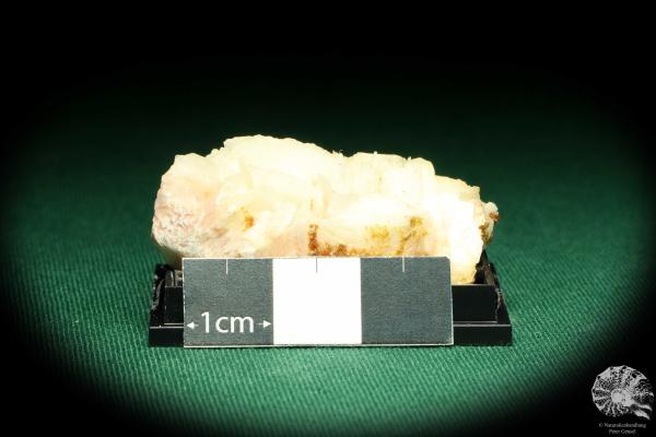 Barite XX & Vanadinite XX (20538) a thumbnail from Morocco | Minerals | Thumbnails