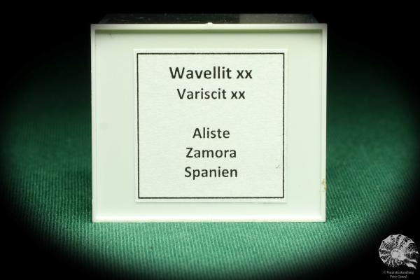 Wavellit XX & Variscit XX (20545) eine Kleinstufe aus Spanien | Mineralien | Kleinstufen