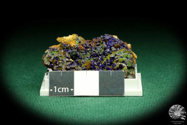 Azurite & Malachite XX (20549) a thumbnail from Morocco | Minerals | Thumbnails