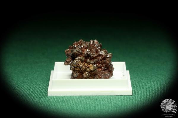 Descloizite XX (20555) a thumbnail from Namibia | Minerals | Thumbnails