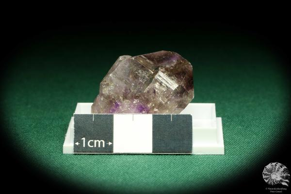 Amethyst (20558) eine Kleinstufe aus Namibia | Mineralien | Kleinstufen