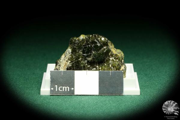 Andradite XX (20577) a thumbnail from USA | Minerals | Thumbnails