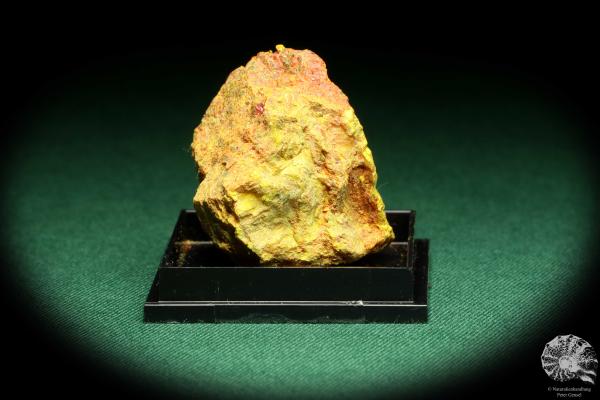 Realgar und Auripigment (20591) eine Kleinstufe aus USA | Mineralien | Kleinstufen