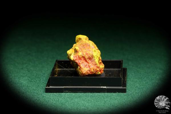 Realgar und Auripigment (20594) eine Kleinstufe aus USA | Mineralien | Kleinstufen