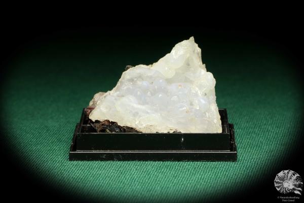 Chalcedon (20595) eine Kleinstufe aus Mexiko | Mineralien | Kleinstufen