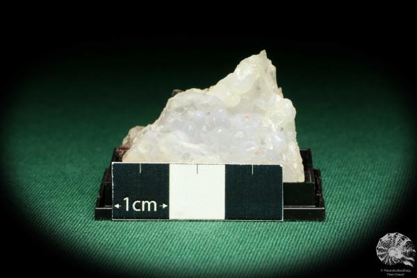 Chalcedon (20595) eine Kleinstufe aus Mexiko | Mineralien | Kleinstufen