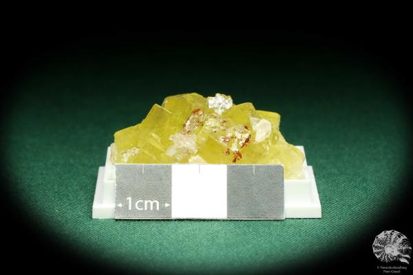 Fluorite XX (20606) a thumbnail from Spain | Minerals | Thumbnails