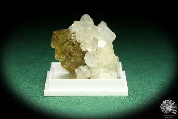 Fluorite XX & Calcite XX - Spain - (20611)