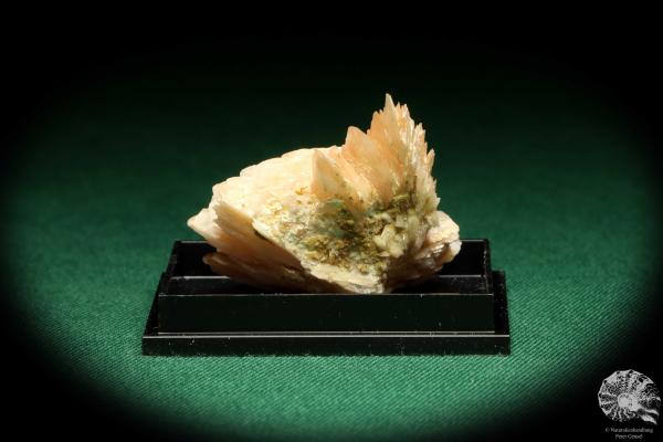 Baryte XX (20612) a thumbnail from Morocco | Minerals | Thumbnails