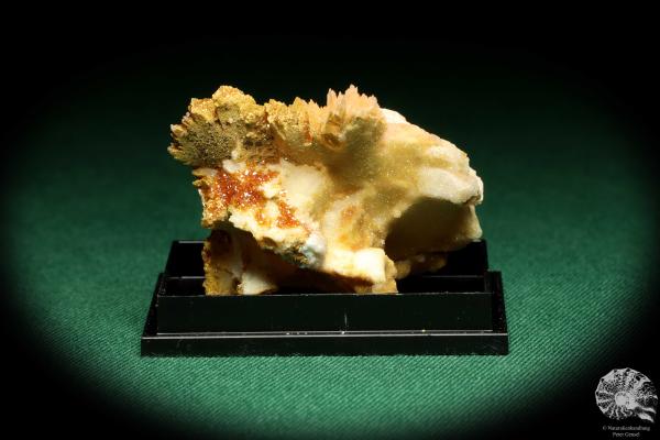 Vanadinite XX on Baryte (20613) a thumbnail from Morocco | Minerals | Thumbnails