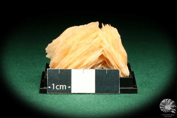 Baryte XX (20614) a thumbnail from Morocco | Minerals | Thumbnails