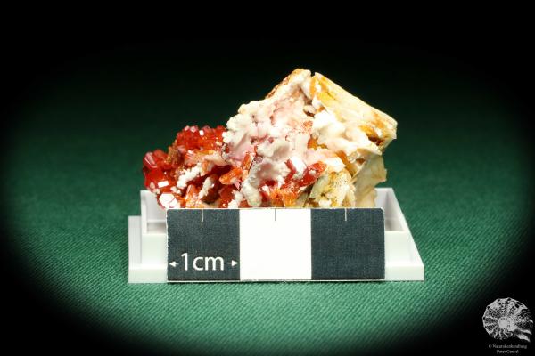 Vanadinite XX on Baryte (20617) a thumbnail from Morocco | Minerals | Thumbnails