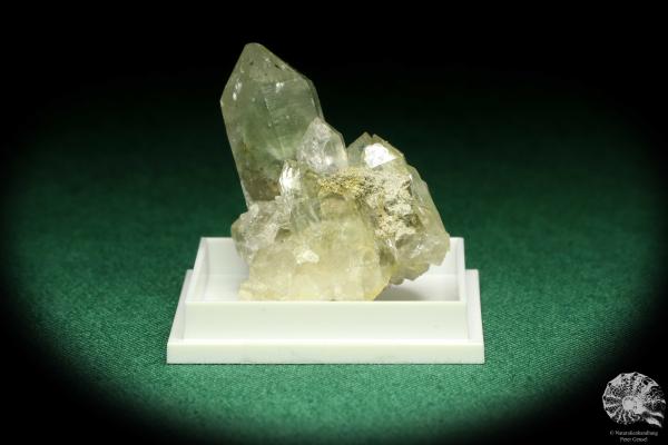 Rock crystal with chlorite - Switzerland - (20625)