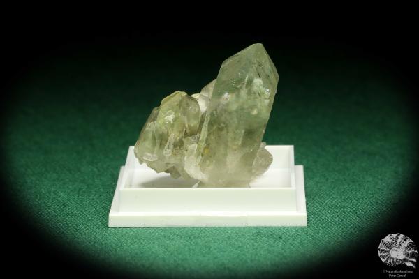 Rock crystal with chlorite (20625) a thumbnail from Switzerland | Minerals | Thumbnails