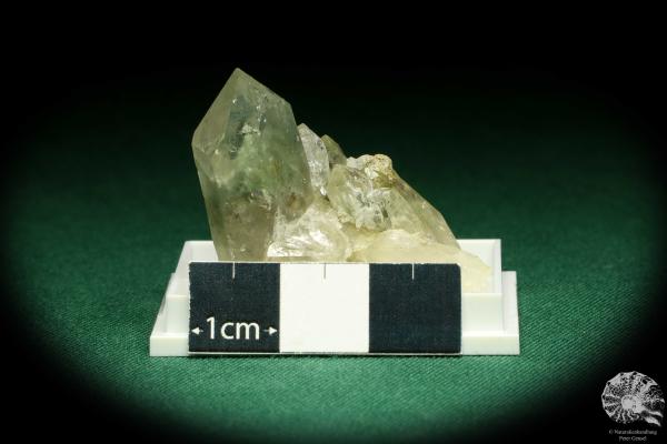 Rock crystal with chlorite (20625) a thumbnail from Switzerland | Minerals | Thumbnails