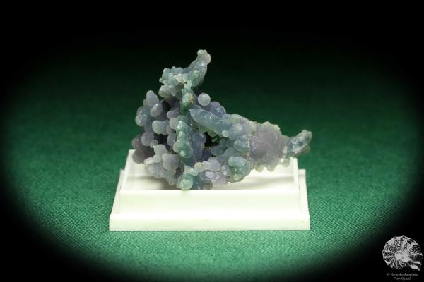 Traubenchalcedon (20630) eine Kleinstufe aus Indonesien | Mineralien | Kleinstufen