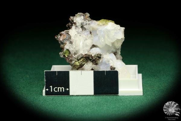 Fluorapatite XX (20632) a thumbnail from Mexico | Minerals | Thumbnails