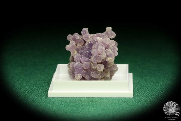 Traubenchalcedon (20636) eine Kleinstufe aus Indonesien | Mineralien | Kleinstufen