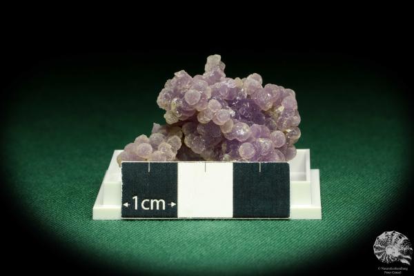 Traubenchalcedon (20636) eine Kleinstufe aus Indonesien | Mineralien | Kleinstufen