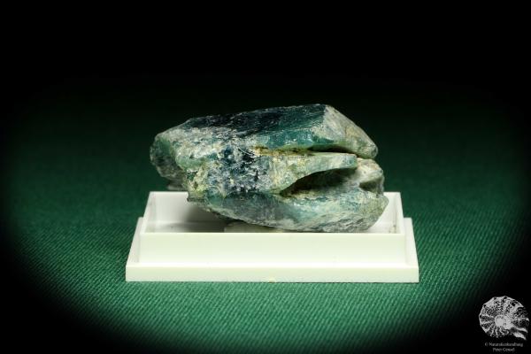 Apatite (20642) a thumbnail from Tanzania | Minerals | Thumbnails