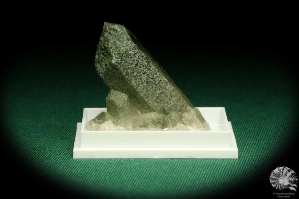 Bergkristall mit Chlorit (20643) eine Kleinstufe aus Schweiz | Mineralien | Kleinstufen